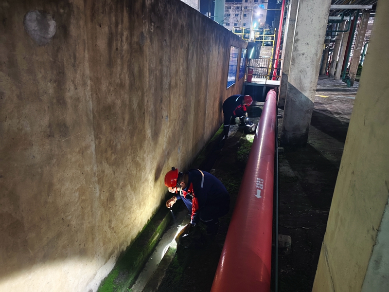 1762504814597075024.jpg MVIMG_20251104_203034.jpg